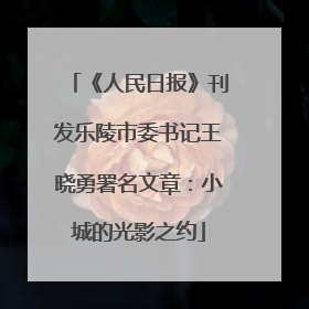 《人民日报》刊发乐陵市委书记王晓勇署名文章：小城的光影之约