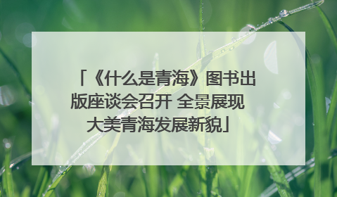 《什么是青海》图书出版座谈会召开 全景展现大美青海发展新貌