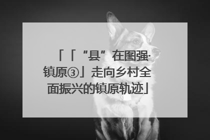 「“县”在图强·镇原③」走向乡村全面振兴的镇原轨迹
