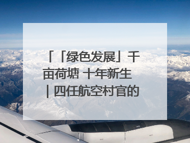 「绿色发展」千亩荷塘 十年新生｜四任航空村官的“生态接力”