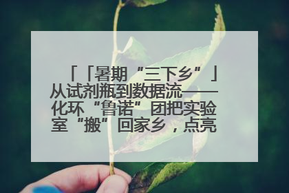 「暑期“三下乡”」从试剂瓶到数据流——化环“鲁诺”团把实验室“搬”回家乡，点亮桑梓求知路