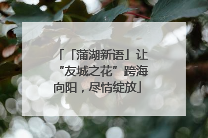 「蒲湖新语」让“友城之花”跨海向阳，尽情绽放
