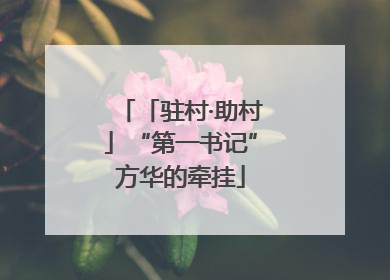 「驻村·助村」“第一书记”方华的牵挂