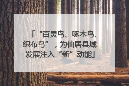 “百灵鸟、啄木鸟、织布鸟”，为仙居县域发展注入“新”动能