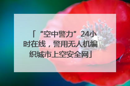 “空中警力”24小时在线，警用无人机编织城市上空安全网