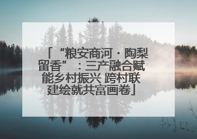 “粮安商河・陶梨留香”：三产融合赋能乡村振兴 跨村联建绘就共富画卷