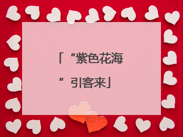 “紫色花海”引客来