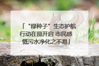“绿种子”生态护航行动在昆开启 市民感慨污水净化之不易