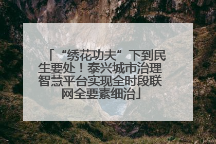 “绣花功夫”下到民生要处！泰兴城市治理智慧平台实现全时段联网全要素细治