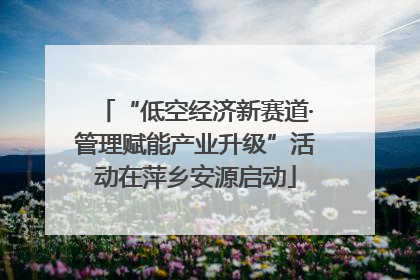 “低空经济新赛道·管理赋能产业升级”活动在萍乡安源启动