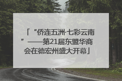 “侨连五洲·七彩云南”——第21届东盟华商会在德宏州盛大开幕