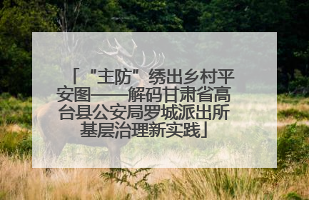 “主防”绣出乡村平安图——解码甘肃省高台县公安局罗城派出所基层治理新实践
