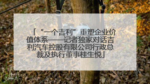 “一个吉利”重塑企业价值体系——记者独家对话吉利汽车控股有限公司行政总裁及执行董事桂生悦