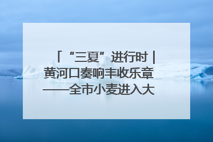 “三夏”进行时｜黄河口奏响丰收乐章——全市小麦进入大面积收获高峰期