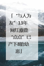 “与人为友”13年 网红麋鹿“点点”已产下8胎幼崽