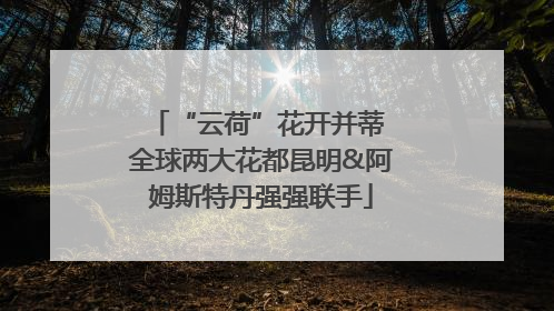 “云荷”花开并蒂 全球两大花都昆明&阿姆斯特丹强强联手