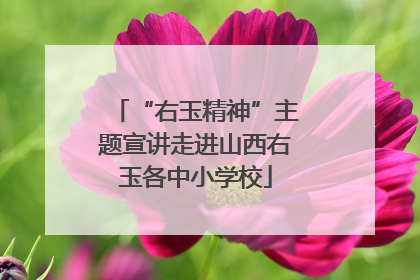 “右玉精神”主题宣讲走进山西右玉各中小学校