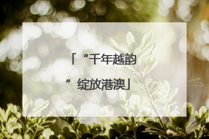 “千年越韵”绽放港澳