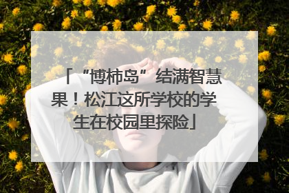 “博柿岛”结满智慧果！松江这所学校的学生在校园里探险