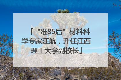 “准85后”材料科学专家汪航，升任江西理工大学副校长