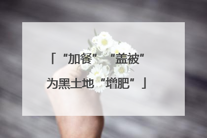 “加餐”“盖被” 为黑土地“增肥”