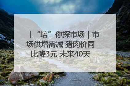 “培”你探市场｜市场供增需减 猪肉价同比降3元 未来40天便宜猪肉敞开吃