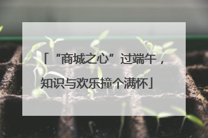 “商城之心”过端午，知识与欢乐撞个满怀