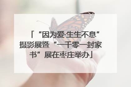 “因为爱·生生不息”摄影展暨“一千零一封家书”展在枣庄举办