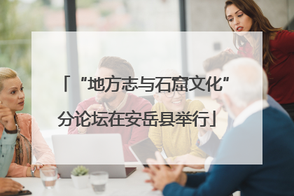 “地方志与石窟文化”分论坛在安岳县举行
