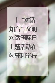 “对话·知音”文明对话国际日主题活动在匈牙利举行