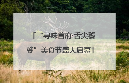 “寻味首府·舌尖饕餮”美食节盛大启幕