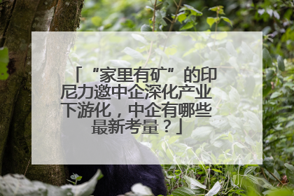 “家里有矿”的印尼力邀中企深化产业下游化，中企有哪些最新考量？