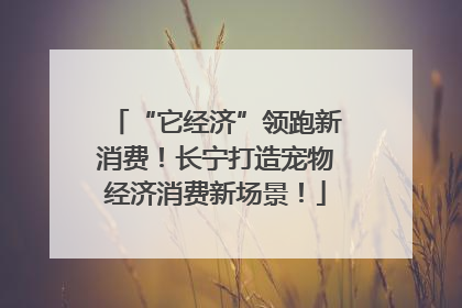 “它经济”领跑新消费！长宁打造宠物经济消费新场景！