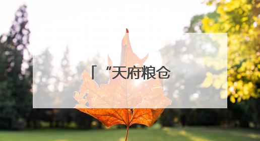 “天府粮仓”夏收见闻