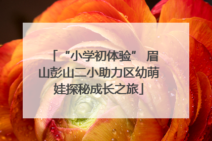 “小学初体验” 眉山彭山二小助力区幼萌娃探秘成长之旅