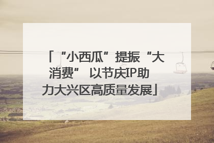 “小西瓜”提振“大消费” 以节庆IP助力大兴区高质量发展