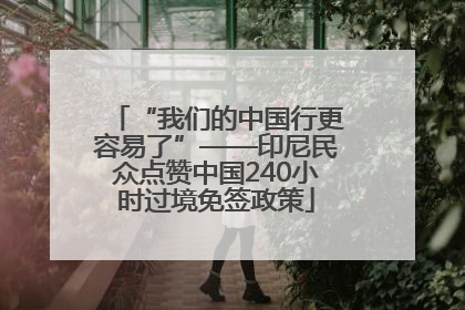 “我们的中国行更容易了”——印尼民众点赞中国240小时过境免签政策