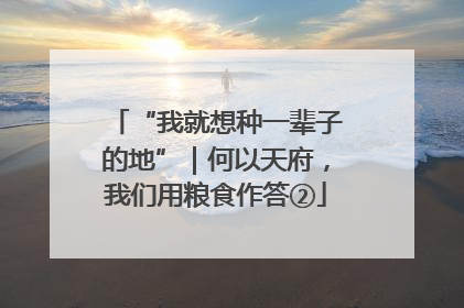 “我就想种一辈子的地”｜何以天府，我们用粮食作答②