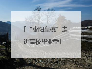 “枣阳皇桃”走进高校毕业季