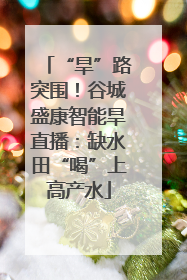 “旱”路突围！谷城盛康智能旱直播：缺水田“喝”上高产水
