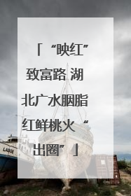 “映红”致富路 湖北广水胭脂红鲜桃火“出圈”