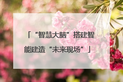 “智慧大脑”搭建智能建造“未来现场”
