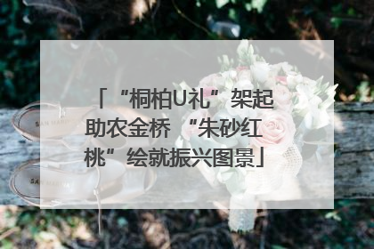 “桐柏U礼”架起助农金桥 “朱砂红桃”绘就振兴图景