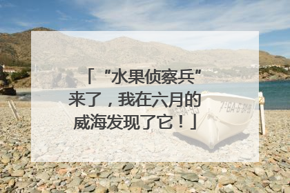 “水果侦察兵”来了，我在六月的威海发现了它！