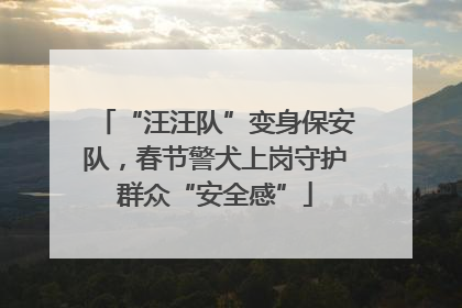 “汪汪队”变身保安队，春节警犬上岗守护群众“安全感”