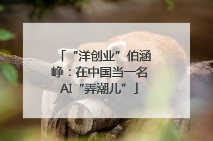 “洋创业”伯涵峥：在中国当一名AI“弄潮儿”