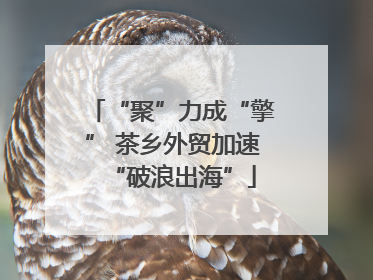 “聚”力成“擎” 茶乡外贸加速“破浪出海”