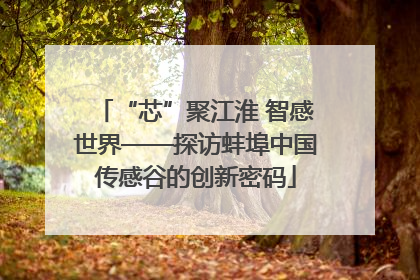 “芯”聚江淮 智感世界——探访蚌埠中国传感谷的创新密码