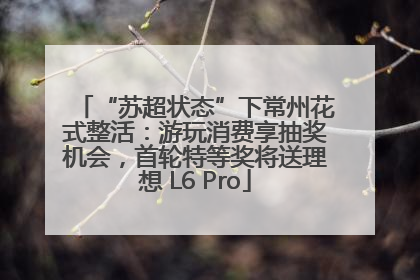 “苏超状态”下常州花式整活：游玩消费享抽奖机会，首轮特等奖将送理想 L6 Pro