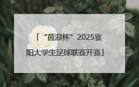 “茵浪杯”2025襄阳大学生足球联赛开赛